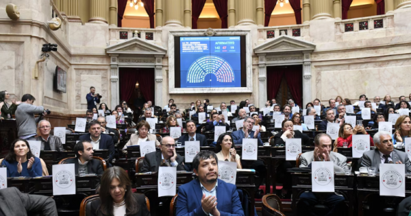Se aprobó en la Cámara de Diputados la emergencia en discapacidad