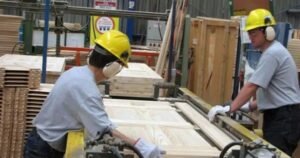 El Gobierno lanza la reglamentación para impulsar el empleo formal