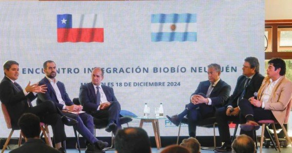 Neuquén y Biobío: una alianza estratégica para liderar el desarrollo regional Neuquén y Biobío: una alianza estratégica para liderar el desarrollo regional