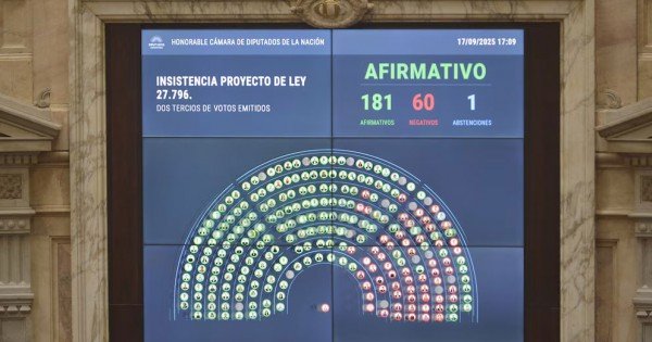 Diputados denegó los vetos para el financiamiento para el Garrahan y las universidades