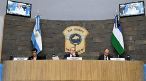Hospitales, educación y gremios judiciales: los temas centrales de la Legislatura rionegrina para este jueves