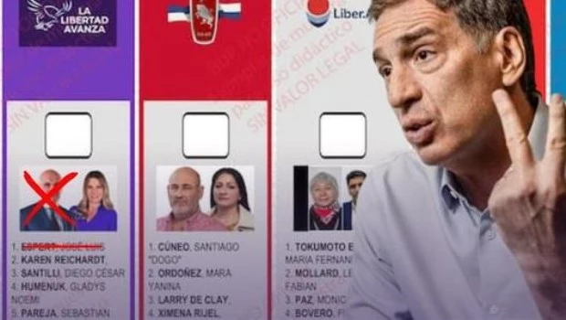 Reimpresión de boletas de La Libertad Avanza: el costo y los plazos que informó el Gobierno