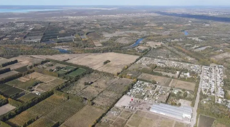 Productores denuncian loteos en 40 hectáreas de chacras en Vista Alegre Productores denuncian loteos en 40 hectáreas de chacras en Vista Alegre