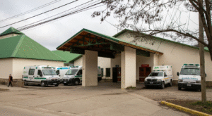 Incendios en Chubut: Río Negro garantiza atención médica y contención a los afectados