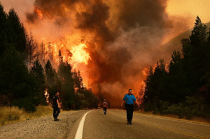 El fuego arrasa la Patagonia: reclaman fondos urgentes para asistir a los damnificados y la declaración de emergencia