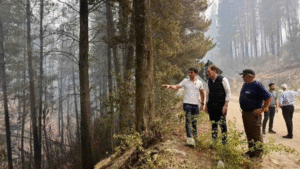 Reprograman el viaje del ministro del Interior a Chubut ante lluvias en zonas afectadas por el fuego