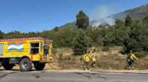 Río Negro busca financiamiento internacional para fortalecer la lucha contra incendios forestales