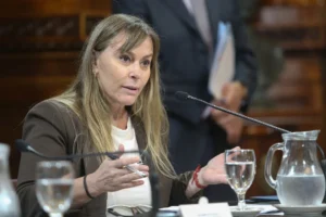 Juliana Di Tullio celebró la eliminación de dos capítulos de la Ley de Propiedad Privada con un mensaje dirigido a Massa