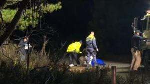 Australia: confundieron una muñeca sexual con un cadáver y desplegaron un operativo policial 