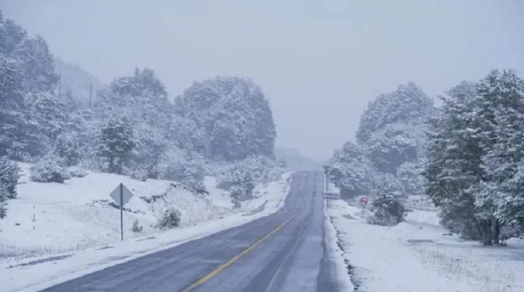 La cordillera de Neuquén se prepara para varios días de nieve y fuertes vientos
