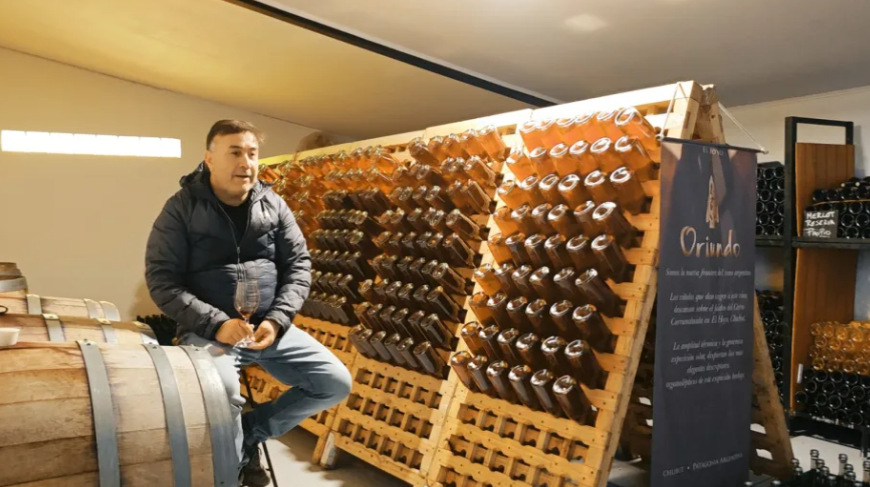 Vinos, sidra de hielo y tulipanes: el enólogo que apuesta por productos únicos en la Patagonia