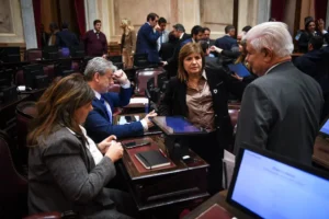 El Senado debate el proyecto de propiedad privada con foco en desalojos y expropiaciones