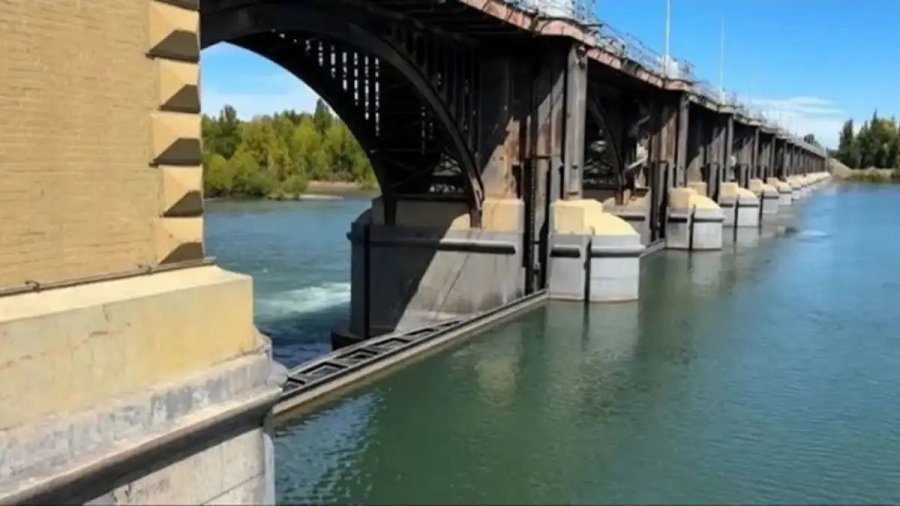 Se puso en marcha la temporada de riego: el agua ya corre por el Alto Valle