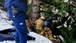 Tragedia en Bariloche: una nena de 3 años murió tras caer un auto al lago Nahuel Huapi