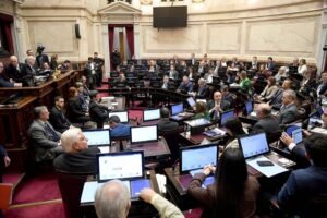 El Senado debate la Ley de Inviolabilidad de la Propiedad Privada en una sesión con conflictos dentro y fuera del Congreso