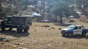 Intentaron robar una camioneta en Chapelco y los detuvieron tras una persecución hasta Meliquina