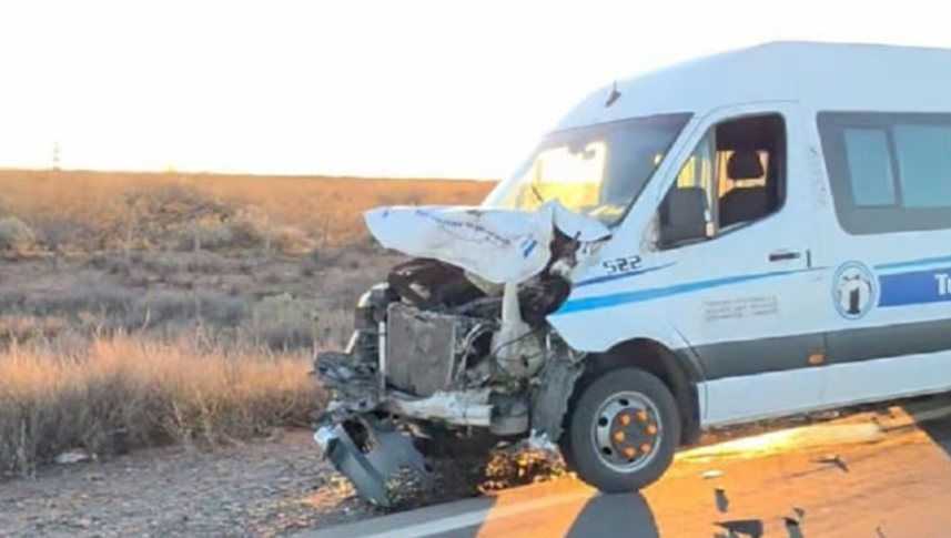 Fuerte choque en la Ruta 51: un minibús impactó contra un caballo
