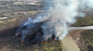 El viento complicó un incendio de pastizales que amenazó una vivienda en Rincón de los Sauces