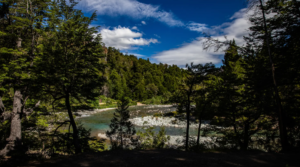 Río Negro conmemora el Día de las Áreas Naturales Protegidas con foco en conservación y biodiversidad