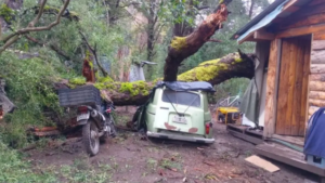 Un árbol de grandes dimensiones cayó sobre una vivienda y provocó graves daños en Villa La Angostura