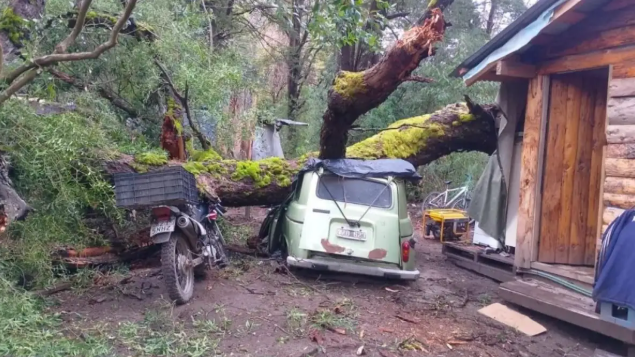 Un árbol de grandes dimensiones cayó sobre una vivienda y provocó graves daños en Villa La Angostura