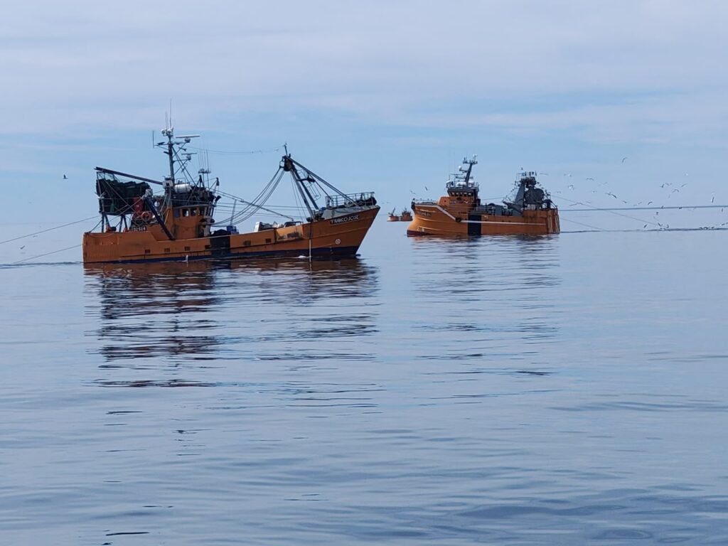 Chubut lidera por primera vez los desembarques pesqueros del país y proyecta superar las 300 mil toneladas