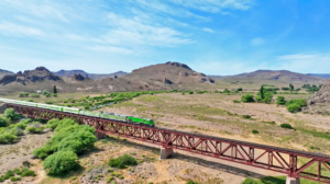 Tren Patagónico: habilitaron la venta de pasajes para noviembre y diciembre con tarifas para residentes y turistas