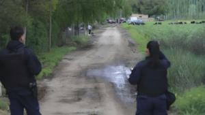 Tragedia en Cervantes: una nena de 6 años y un joven murieron en el incendio de una camioneta