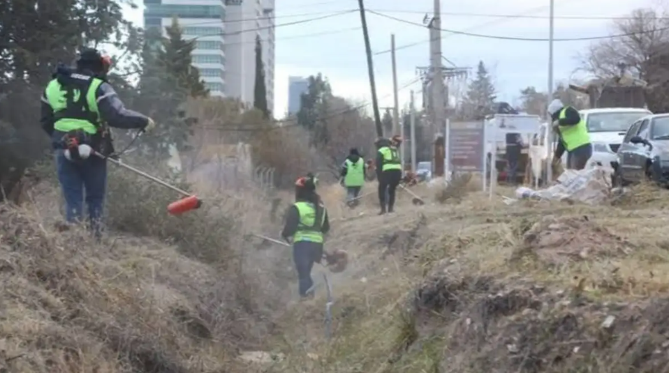 Por las lluvias, Neuquén adelantará el desmalezamiento en avenidas y sectores clave de la ciudad
