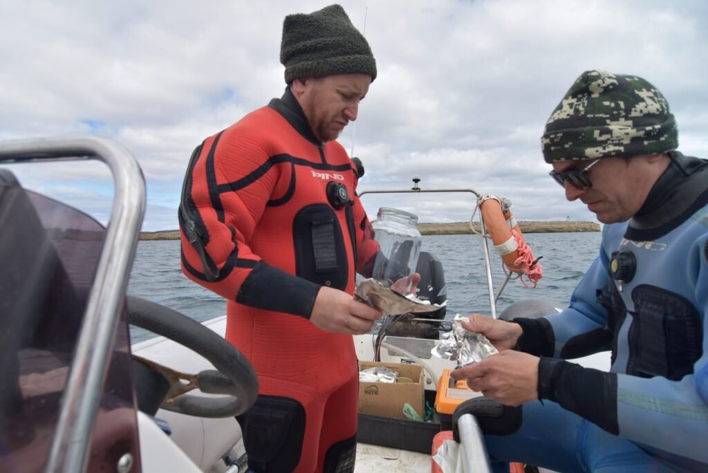 Varamiento de ballenas: especialistas intensifican el monitoreo sanitario y estudian las causas