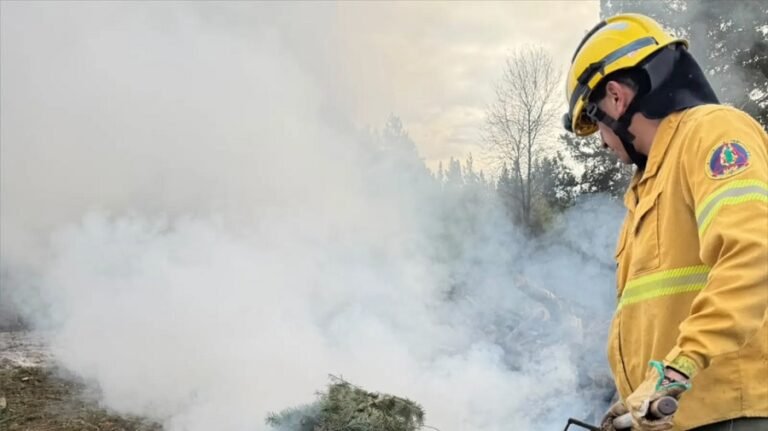Prevención de incendios: así rigen las nuevas condiciones para quemas de octubre en Zona Andina de Río Negro