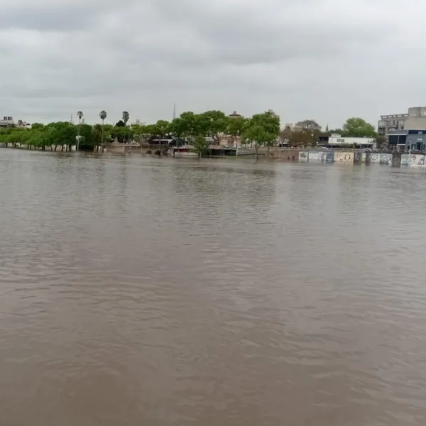 Preocupación por la crecida del Río Uruguay: evacuaron a seis familias en Concordia y alerta en varias ciudades entrerrianas